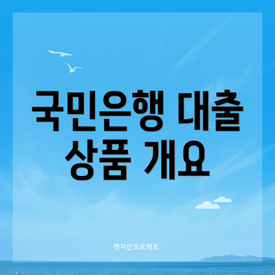 국민은행 대출 상품 개요
