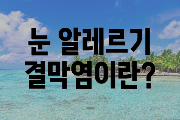 눈 알레르기 결막염이란?