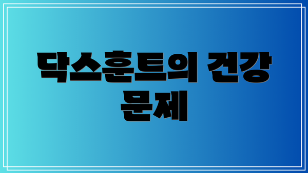 닥스훈트의 건강 문제