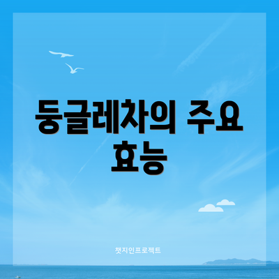 둥글레차의 주요 효능