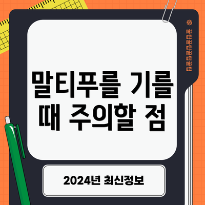말티푸를 기를 때 주의할 점