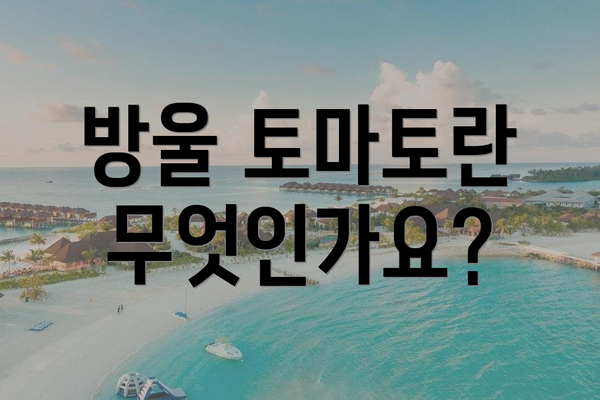 방울 토마토란 무엇인가요?