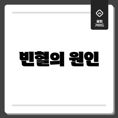 빈혈의 원인