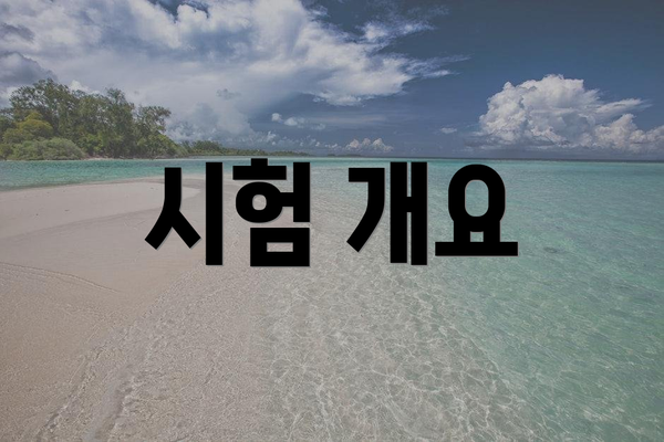 시험 개요