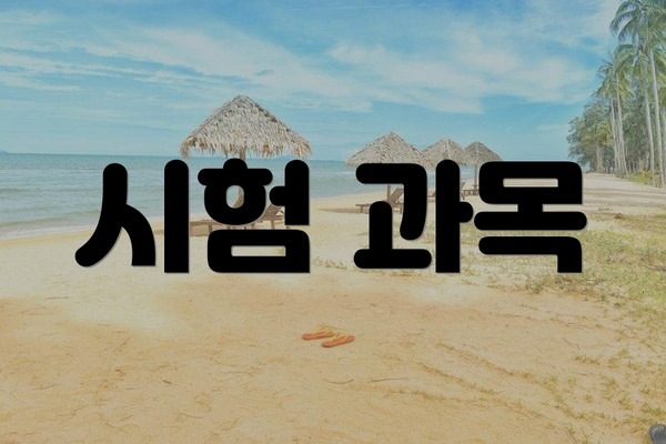 시험 과목