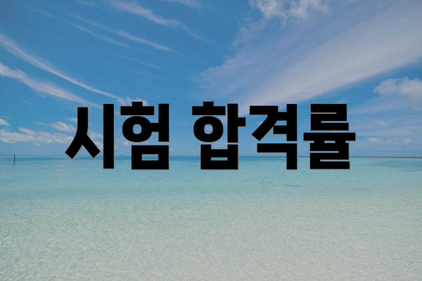 시험 합격률