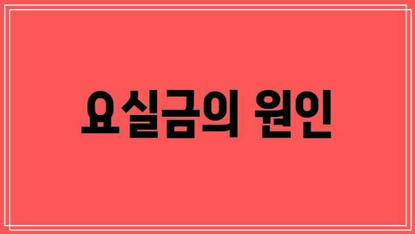 요실금의 원인