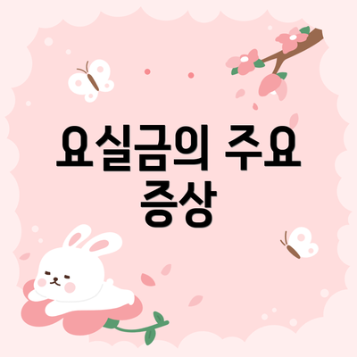 요실금의 주요 증상