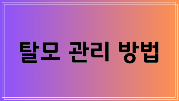 탈모 관리 방법