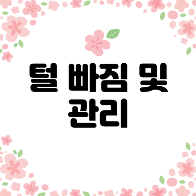 털 빠짐 및 관리