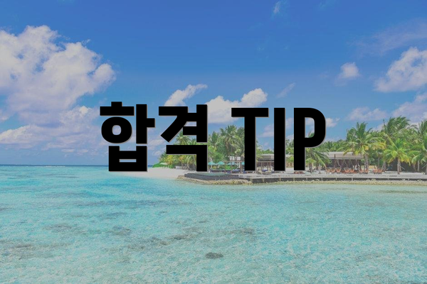합격 TIP