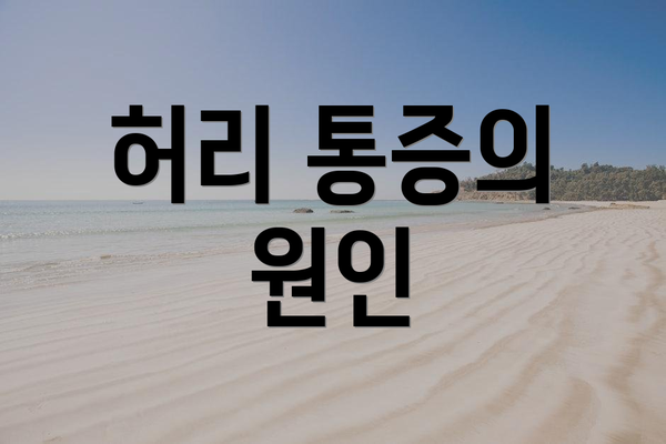 허리 통증의 원인