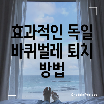 효과적인 독일 바퀴벌레 퇴치 방법