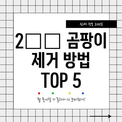 2️⃣ 곰팡이 제거 방법 TOP 5