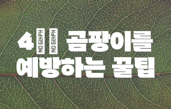 4️⃣ 곰팡이를 예방하는 꿀팁