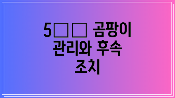 5️⃣ 곰팡이 관리와 후속 조치