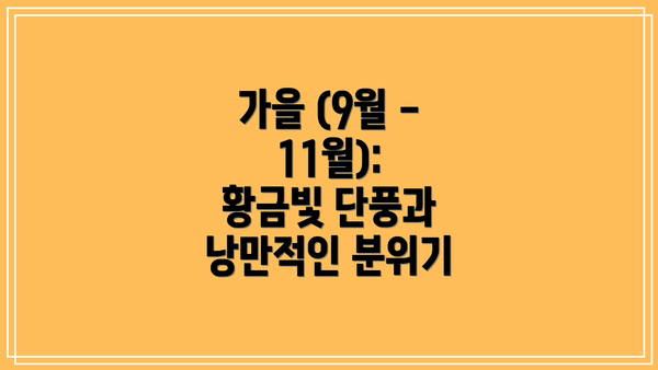 가을 (9월 - 11월): 황금빛 단풍과 낭만적인 분위기