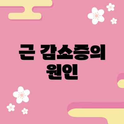근 감소증의 원인