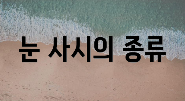 눈 사시의 종류