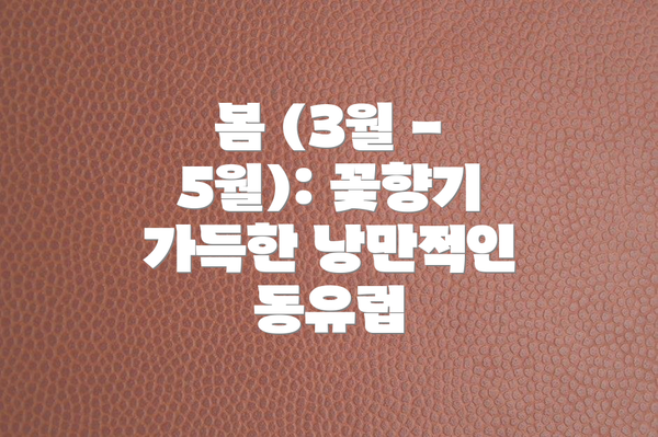 봄 (3월 - 5월): 꽃향기 가득한 낭만적인 동유럽