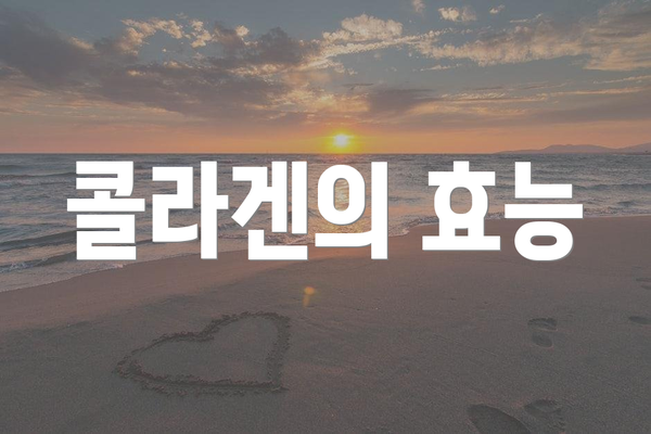 콜라겐의 효능