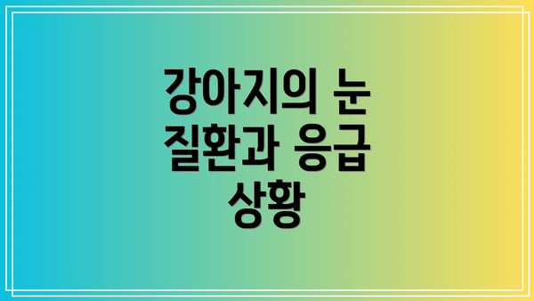강아지의 눈 질환과 응급 상황