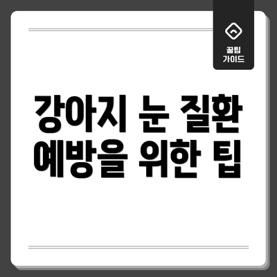 강아지 눈 질환 예방을 위한 팁