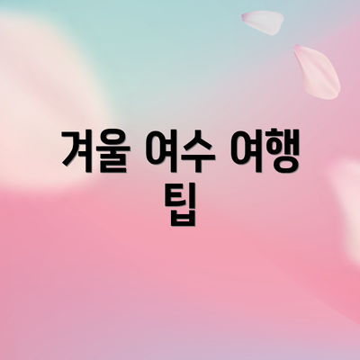 겨울 여수 여행 팁