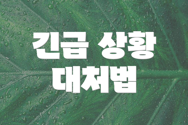 긴급 상황 대처법