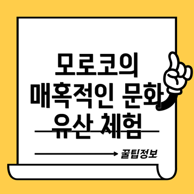 모로코의 매혹적인 문화 유산 체험