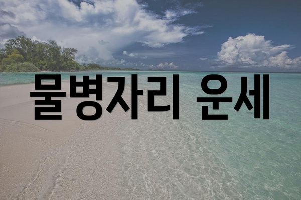 물병자리 운세