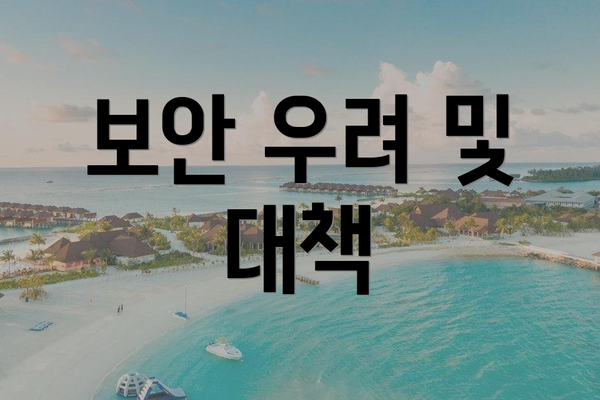 보안 우려 및 대책