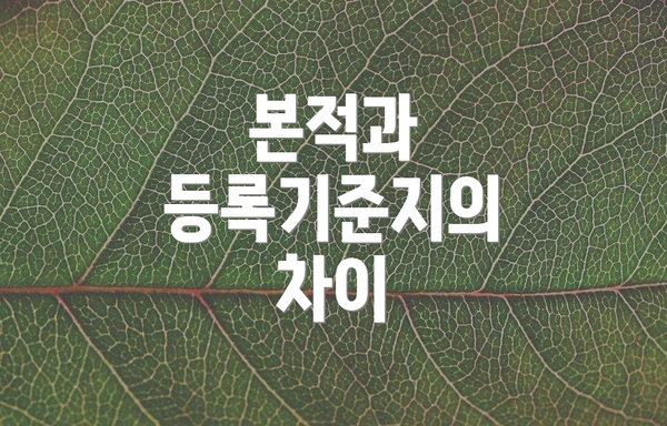 본적과 등록기준지의 차이