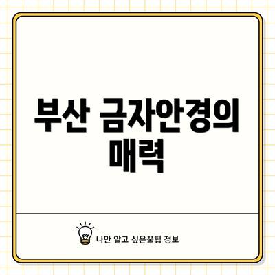 부산 금자안경의 매력