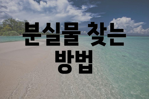 분실물 찾는 방법