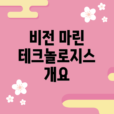 비전 마린 테크놀로지스 개요