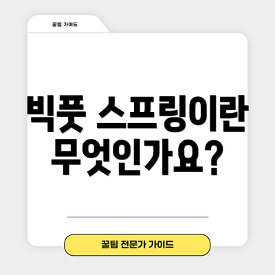 빅풋 스프링이란 무엇인가요?