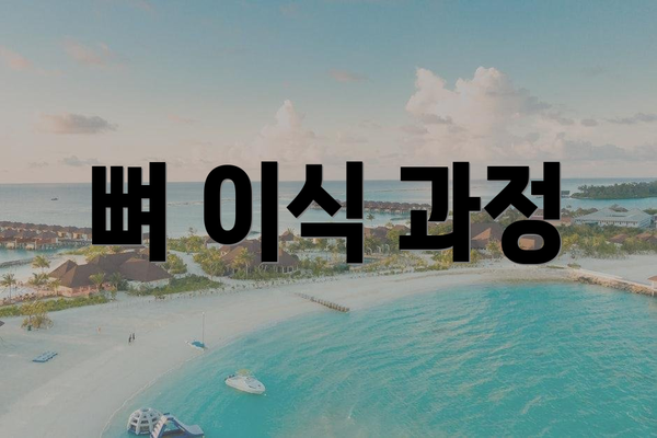 뼈 이식 과정