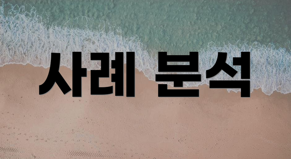 사례 분석