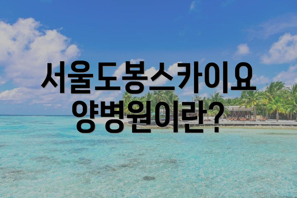 서울도봉스카이요양병원이란?