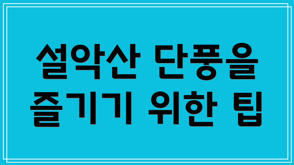 설악산 단풍을 즐기기 위한 팁