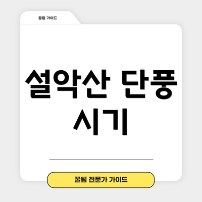 설악산 단풍 시기
