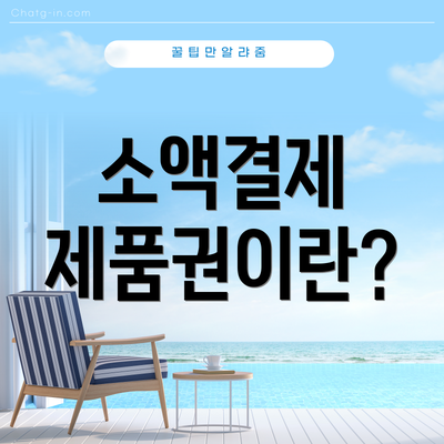 소액결제 제품권이란?
