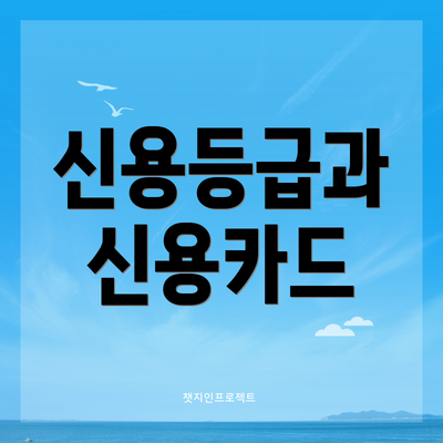 신용등급과 신용카드