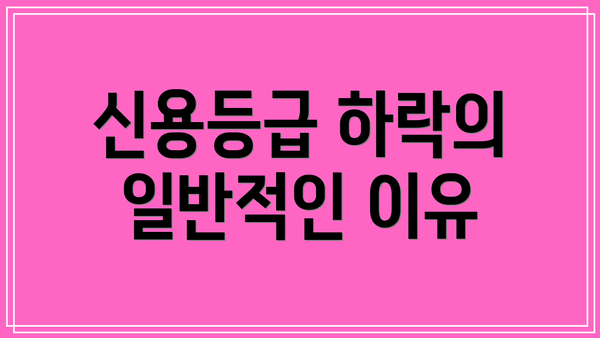 신용등급 하락의 일반적인 이유