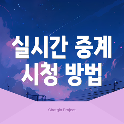 실시간 중계 시청 방법