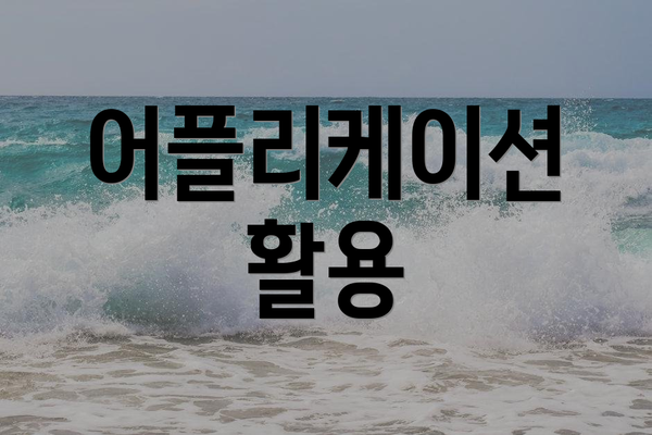 어플리케이션 활용