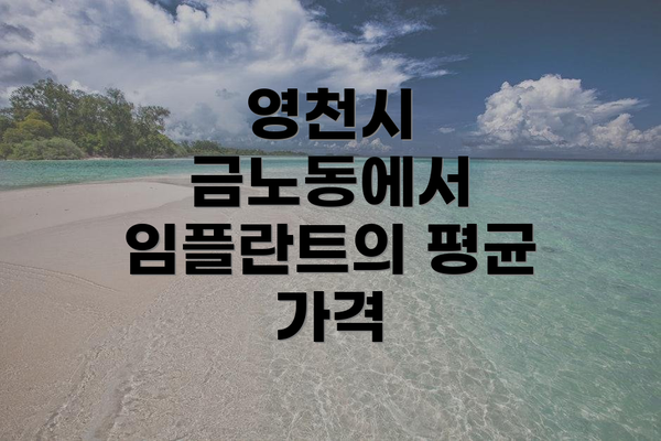 영천시 금노동에서 임플란트의 평균 가격