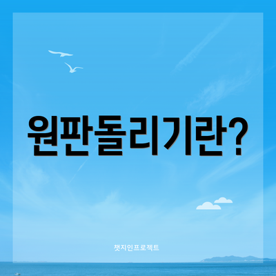 원판돌리기란?
