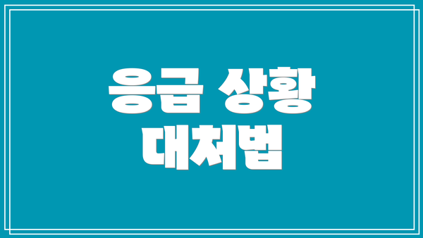 응급 상황 대처법